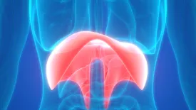 الحجاب-الحاجز