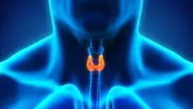 الغده الدرقيه